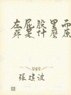 左屁股里面骨头疼是什么原因