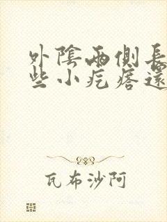 外阴两侧长了一些小疙瘩还痒封面