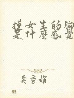 摸女生的胸女生是什么感觉