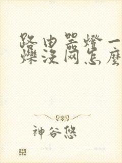 路由器灯一直闪烁没网怎么办