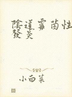 阴道霉菌性阴道发炎