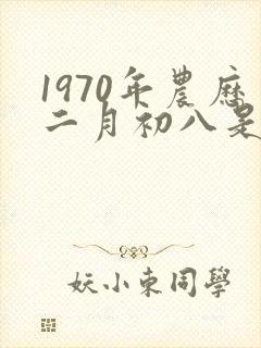1970年农历二月初八是啥命封面