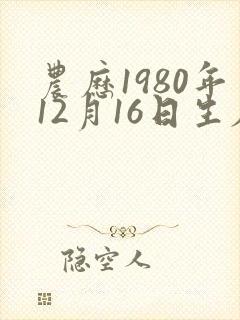 农历1980年12月16日生辰八字