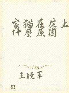 家猫在床上拉尿什么原因