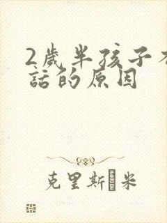 2岁半孩子不说话的原因