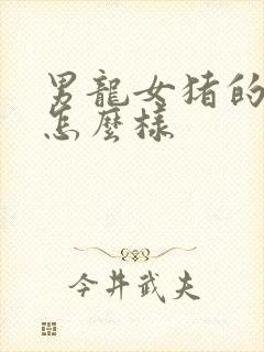 男龙女猪的婚姻怎么样