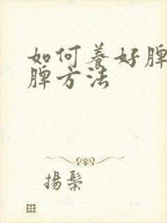 如何养好脾胃养脾方法封面