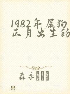 1982年属狗正月出生的命运怎么样
