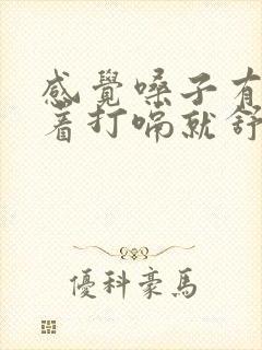 感觉嗓子有气堵着打嗝就舒服封面