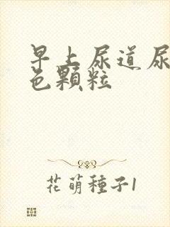 早上尿道尿出白色颗粒