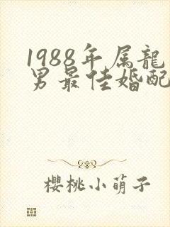 1988年属龙男最佳婚配属相封面