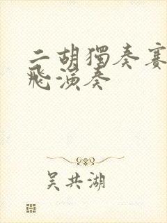 二胡独奏赛马宋飞演奏