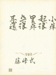 耳朵里起小疙瘩还很疼很痒怎么回事