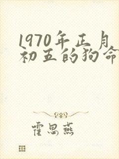 1970年正月初五的狗命运如何