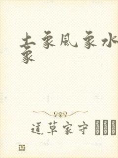 土象风象水象火象