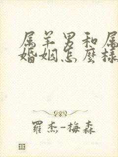 属羊男和属猴女婚姻怎么样