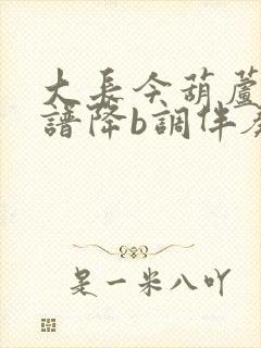 大长今葫芦丝曲谱降b调伴奏