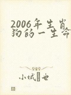 2006年生肖狗的一生命运怎样
