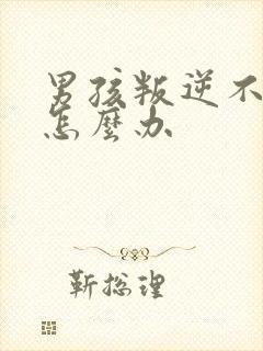 男孩叛逆不听话怎么办封面