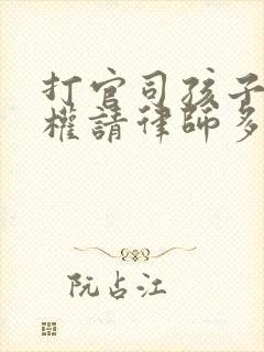 打官司孩子抚养权请律师多少钱