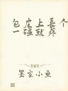 包皮上长个疙瘩一碰就疼