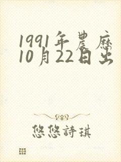1991年农历10月22日出生的人命运