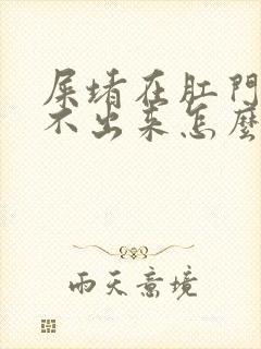 屎堵在肛门处拉不出来怎么办