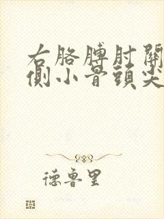 右胳膊肘关节外侧小骨头尖疼