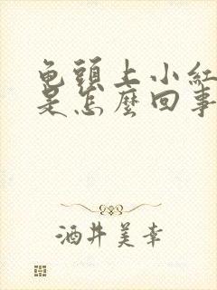 龟头上小红疙瘩是怎么回事