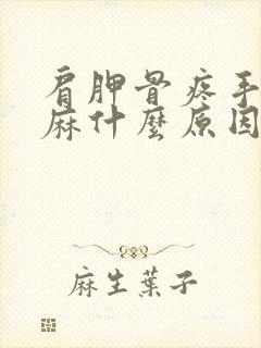 肩胛骨疼手麻脚麻什么原因引起封面