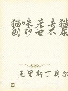 猫咪老去猫砂盆刨砂也不尿