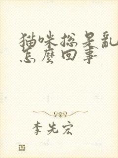 猫咪总是乱尿是怎么回事