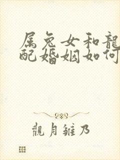 属兔女和龙男相配婚姻如何