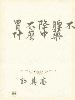 胃不降脾不升吃什么中药封面