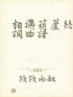 相遇葫芦丝降b调曲谱