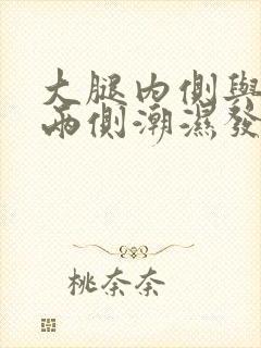 大腿内侧与阴囊两侧潮湿发黑用什么药