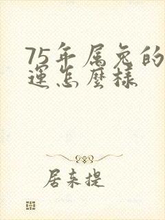 75年属兔的财运怎么样