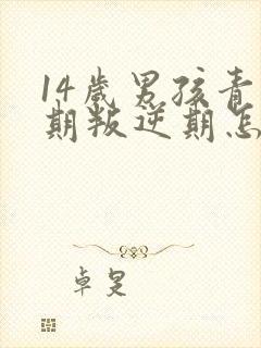 14岁男孩青春期叛逆期怎么办封面