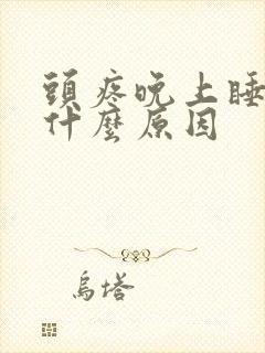 头疼晚上睡不着什么原因