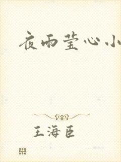 夜雨莹心小说封面