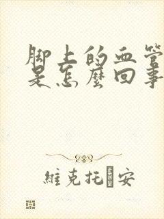 脚上的血管鼓起是怎么回事封面