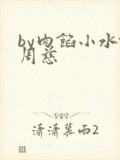 by肉馅小水饺周慈封面