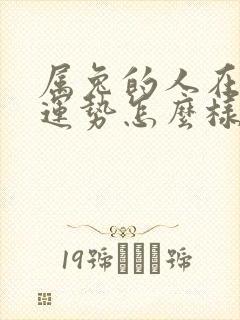 属兔的人在蛇年运势怎么样啊