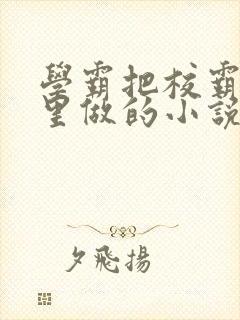 学霸把校霸往死里做的小说