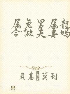 属兔男属龙女适合做夫妻吗