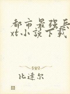 都市最强兵王txt小说下载