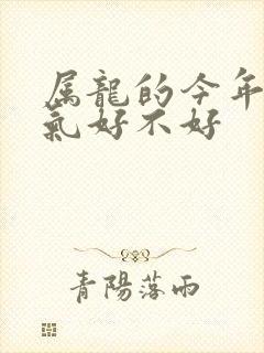 属龙的今年的运气好不好