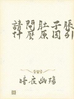 请问肚子胀气是什么原因引起的