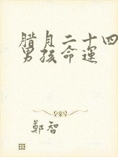 腊月二十四出生男孩命运