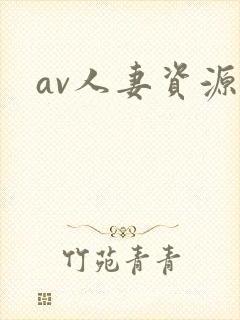 av人妻资源